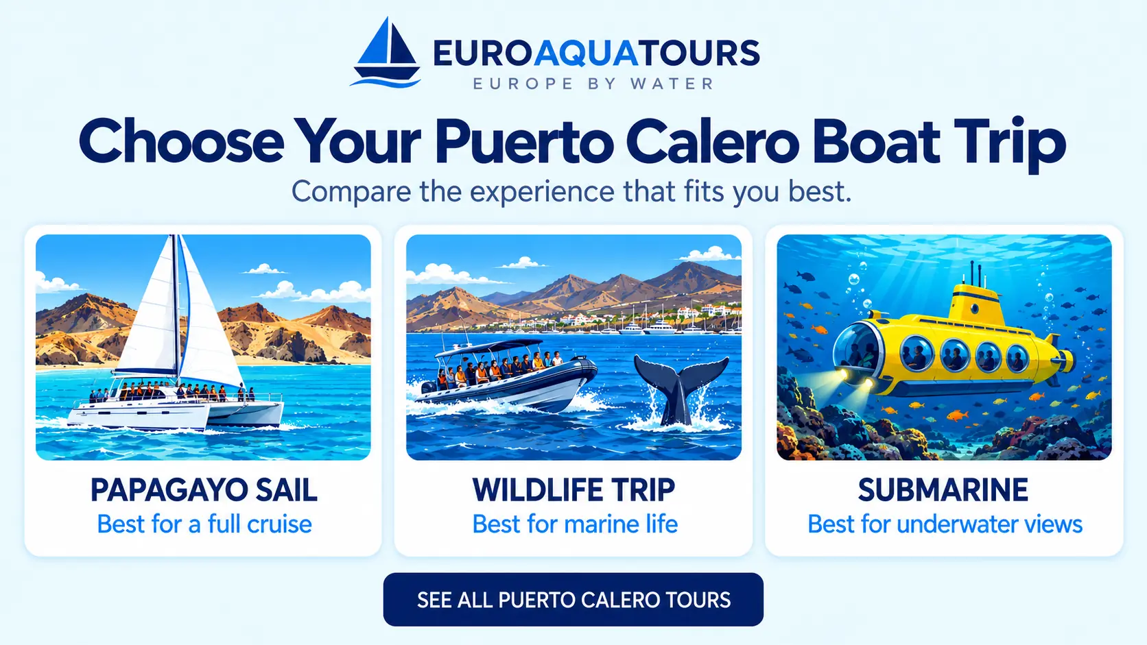 Compare Puerto Calero boat trips with Papagayo sailing, marine wildlife and submarine options